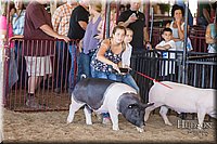 LCFAIR17-4203.jpg