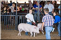 LCFAIR17-4205.jpg