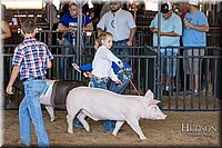 LCFAIR17-4206.jpg