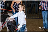 LCFAIR17-4210.jpg