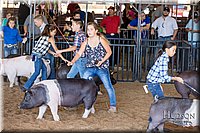 LCFAIR17-4211.jpg