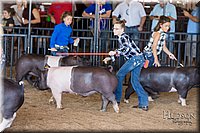 LCFAIR17-4212.jpg