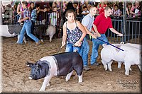 LCFAIR17-4213.jpg