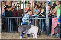 LCFAIR17-4216.jpg