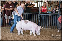 LCFAIR17-4217.jpg