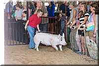 LCFAIR17-4230.jpg