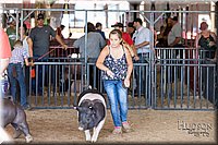 LCFAIR17-4236.jpg