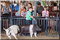 LCFAIR17-4253.jpg
