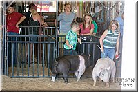 LCFAIR17-4270.jpg