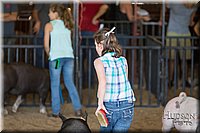 LCFAIR17-4271.jpg