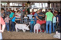 LCFAIR17-4272.jpg