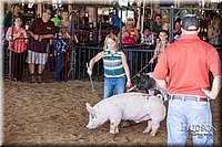 LCFAIR17-4273.jpg