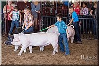 LCFAIR17-4275.jpg