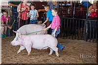 LCFAIR17-4277.jpg