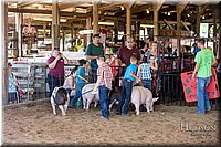 LCFAIR17-4278.jpg