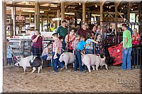 LCFAIR17-4279.jpg