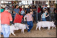 LCFAIR17-4280.jpg