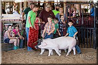 LCFAIR17-4281.jpg