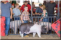 LCFAIR17-4282.jpg