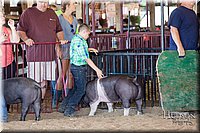 LCFAIR17-4283.jpg