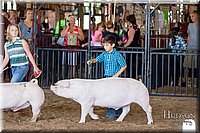 LCFAIR17-4287.jpg