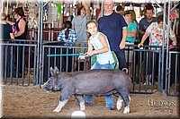 LCFAIR17-4289.jpg