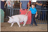 LCFAIR17-4290.jpg