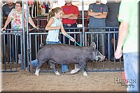 LCFAIR17-4292.jpg