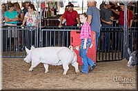 LCFAIR17-4293.jpg