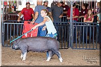 LCFAIR17-4294.jpg