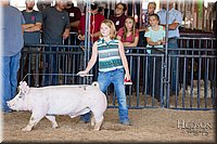 LCFAIR17-4295.jpg