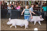 LCFAIR17-4297.jpg