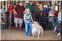 LCFAIR17-4299.jpg