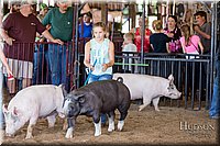 LCFAIR17-4301.jpg