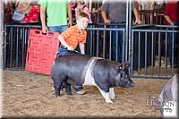 LCFAIR17-4307.jpg