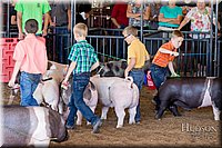 LCFAIR17-4308.jpg