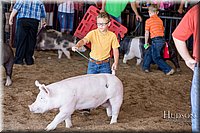 LCFAIR17-4309.jpg