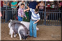 LCFAIR17-4312.jpg