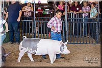 LCFAIR17-4313.jpg