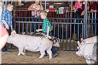 LCFAIR17-4315.jpg