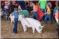 LCFAIR17-4318.jpg