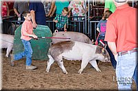 LCFAIR17-4321.jpg