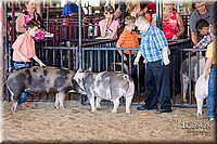 LCFAIR17-4322.jpg