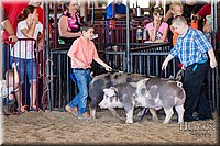 LCFAIR17-4323.jpg