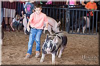 LCFAIR17-4325.jpg