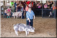 LCFAIR17-4328.jpg