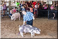 LCFAIR17-4329.jpg