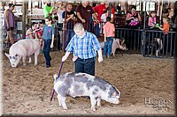 LCFAIR17-4330.jpg