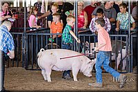 LCFAIR17-4331.jpg