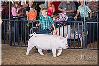 LCFAIR17-4333.jpg